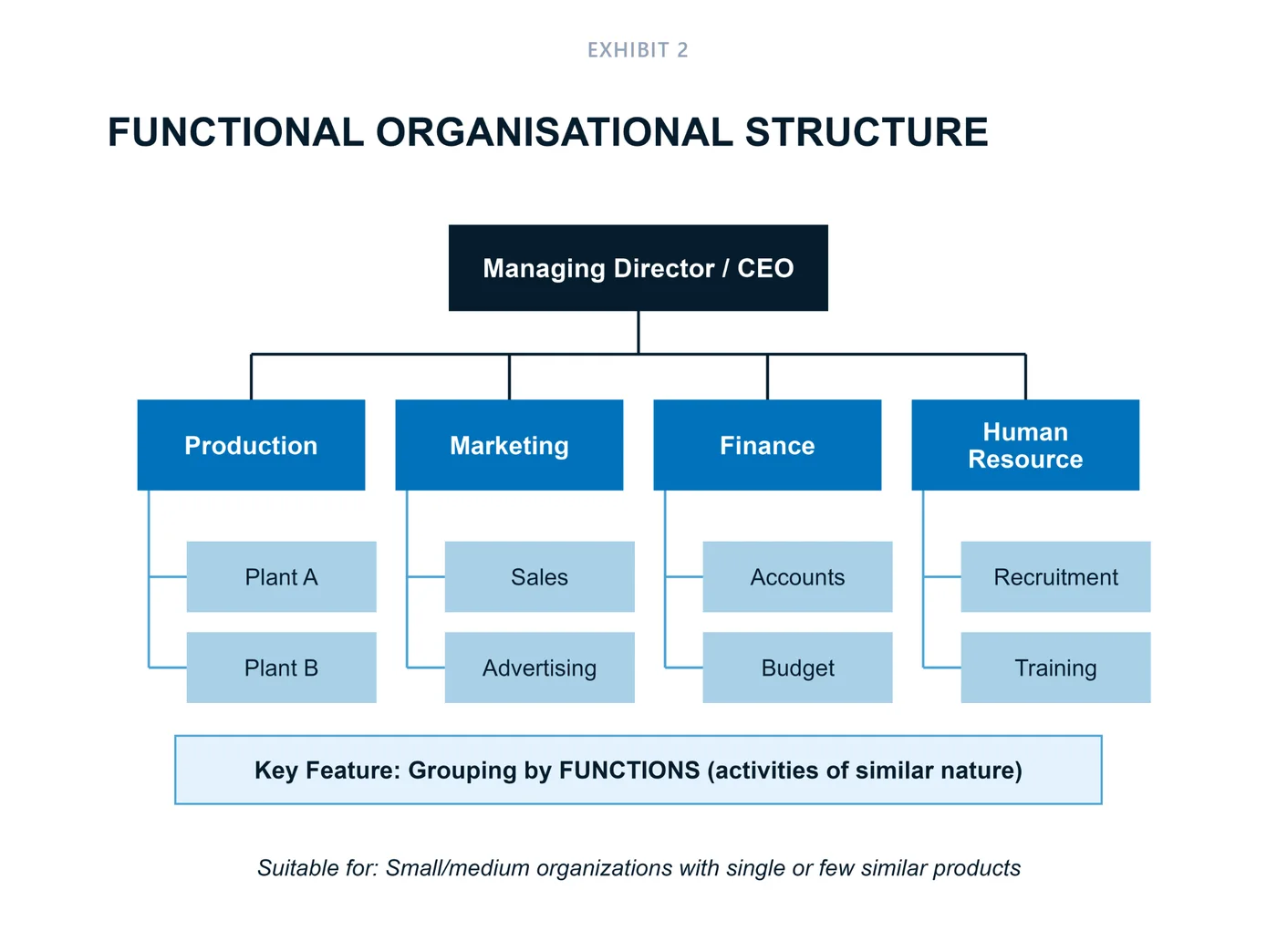 BluePrint Notes for CUET Business Studies: organising